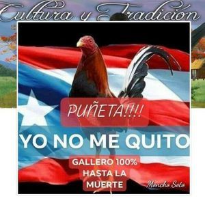 Meet your Posher, Carmelo adrian